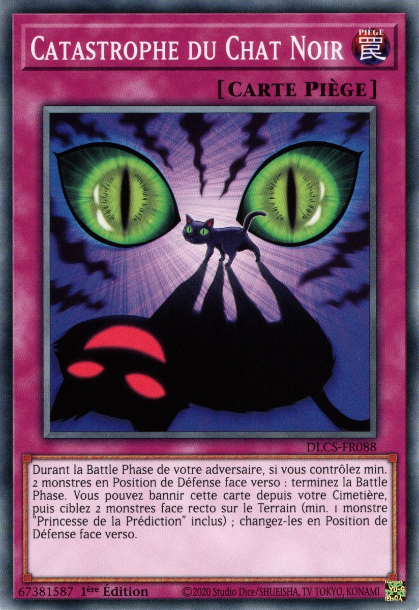 Black Cat-astrophe