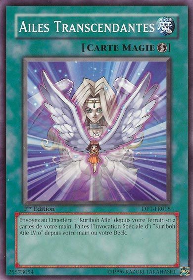Ailes Transcendantes