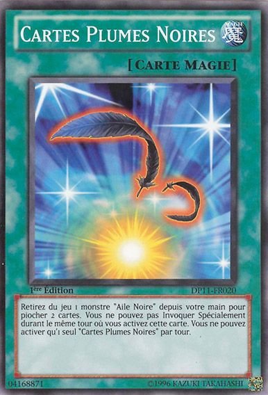 Cartes Plumes Noires