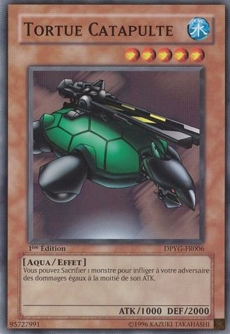 Tortue Catapulte