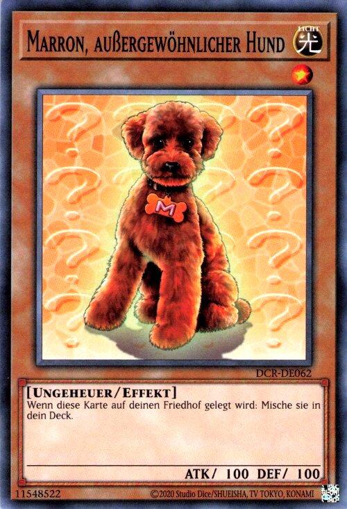 Chien Marron Exceptionnel