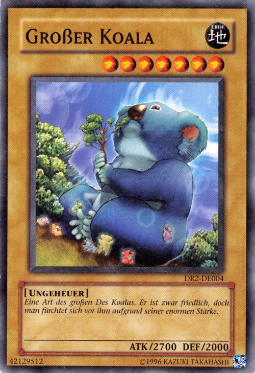 Koala Géant