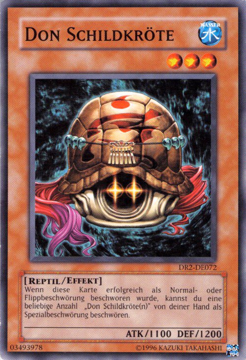 Don Tortue