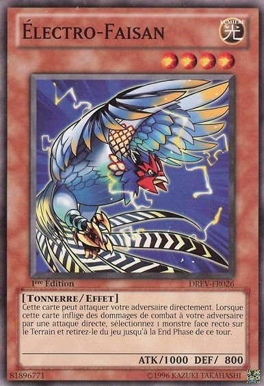 Electro-Faisan