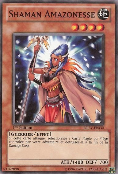 Shaman Amazonesse