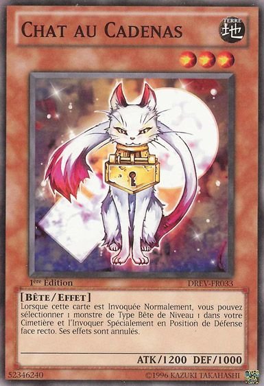 Chat au Cadenas
