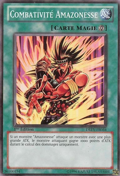 Combativité Amazonesse