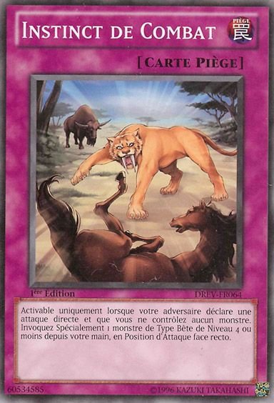 Instinct de Combat