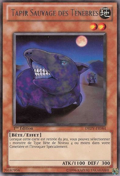 Tapir Sauvage des Ténèbres