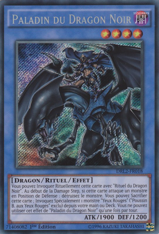 Paladin of Dark Dragon