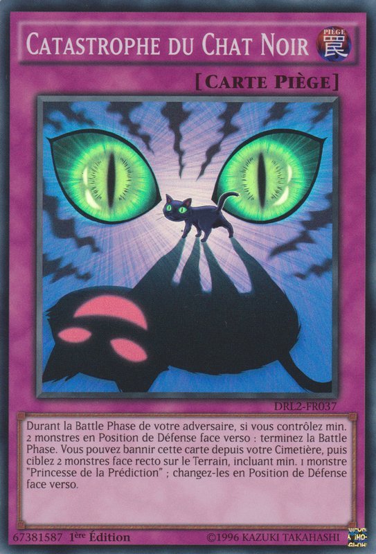 Black Cat-astrophe