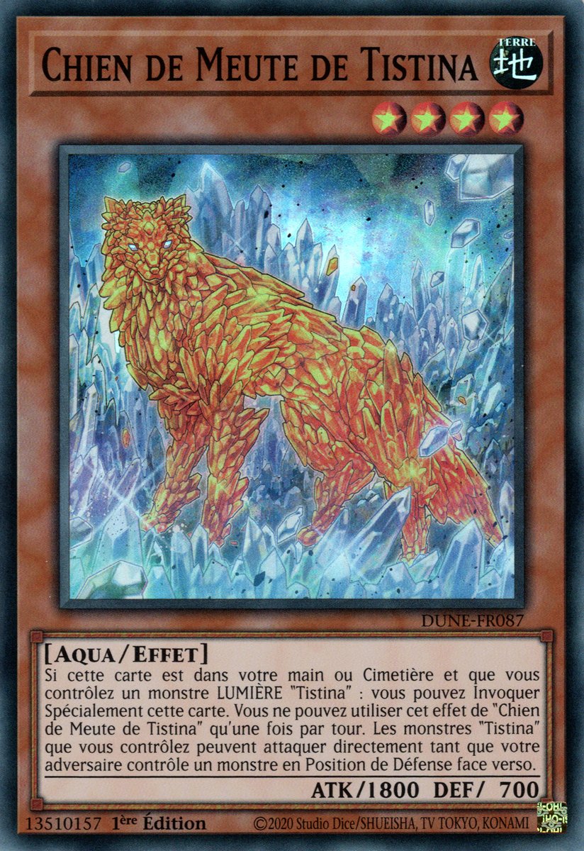 Chien de Meute de Tistina