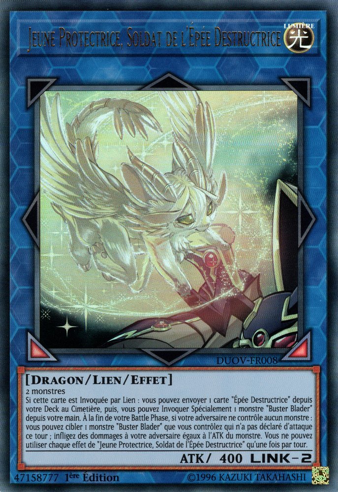 Protector Whelp of the Destruction Swordsman