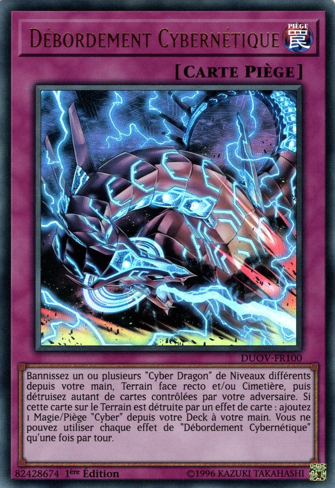 Cybernetic Overflow