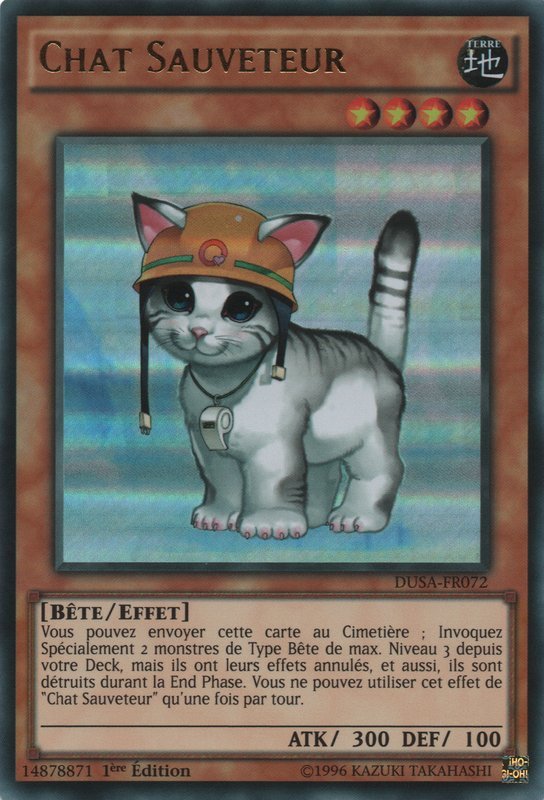 Chat Sauveteur