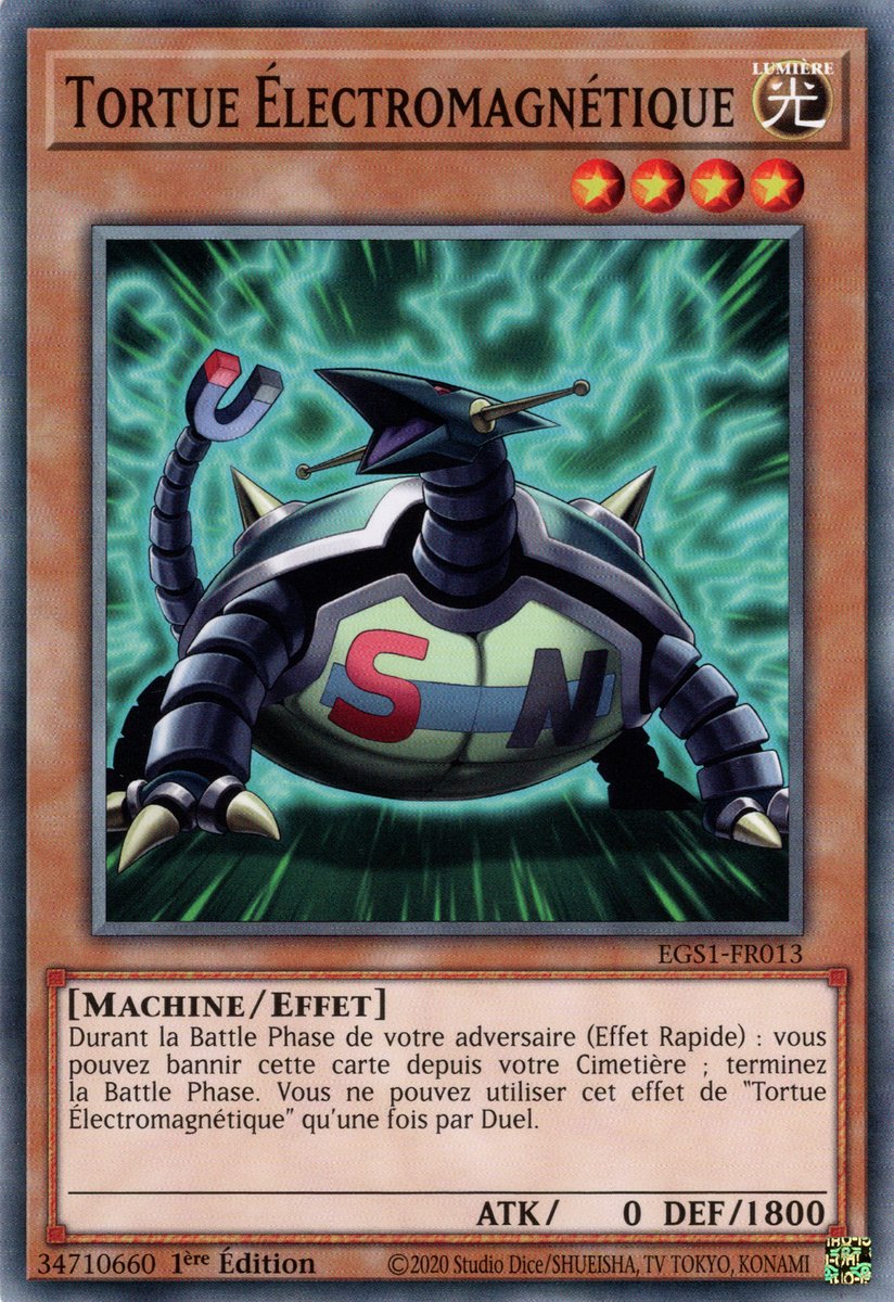 Tortue Électromagnétique