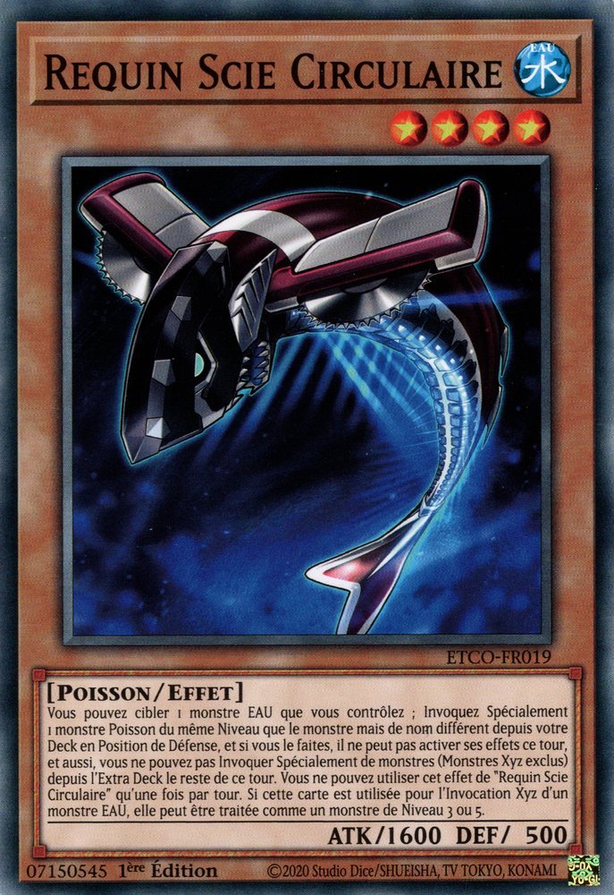 Requin Scie Circulaire