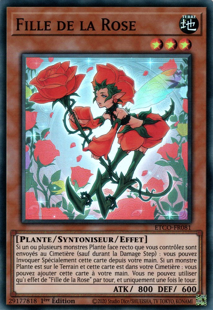 Fille de la Rose
