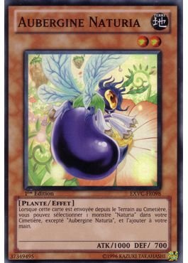 Naturia Eggplant