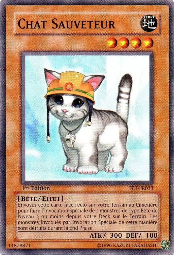 Chat Sauveteur
