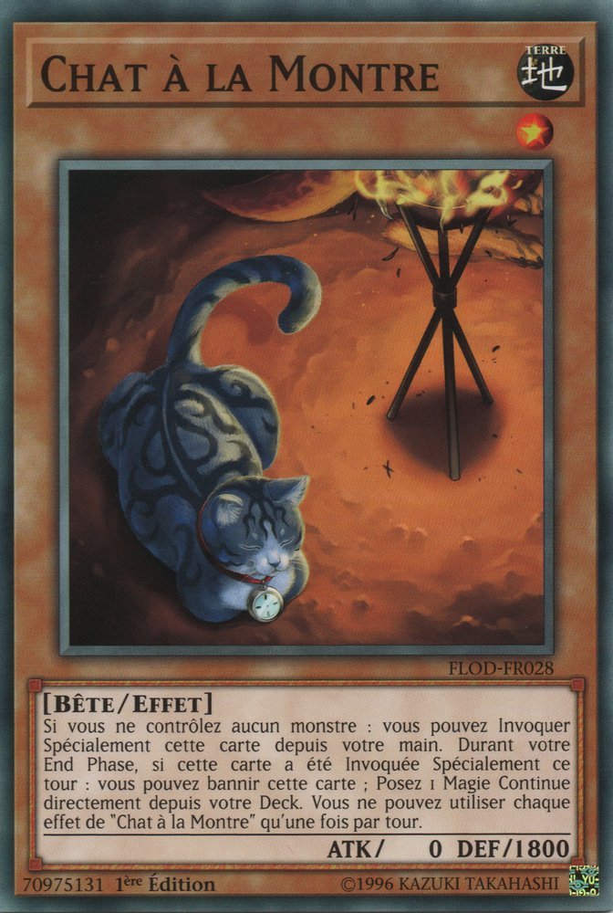 Watch Cat