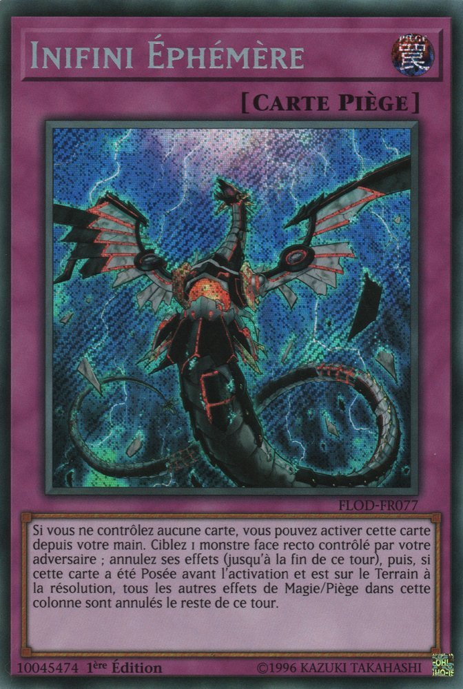 Infinite Impermanence