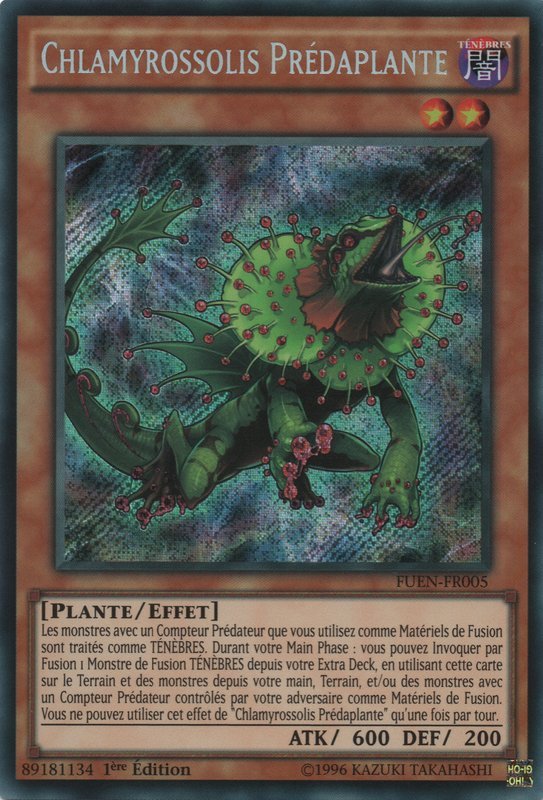 Predaplant Chlamydosundew