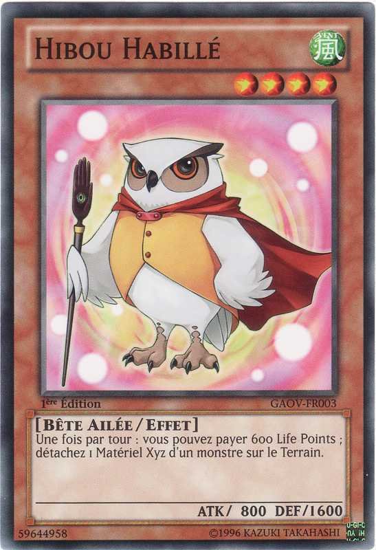 Overlay Owl