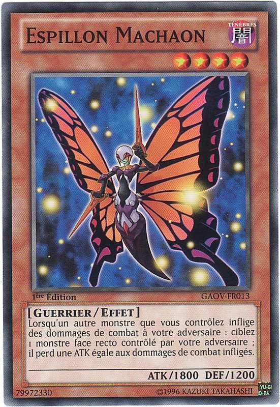 Swallowtail Butterspy