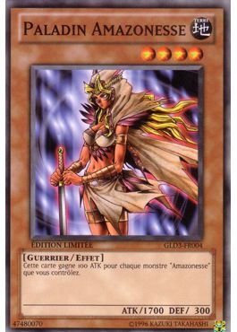 Paladin Amazonesse