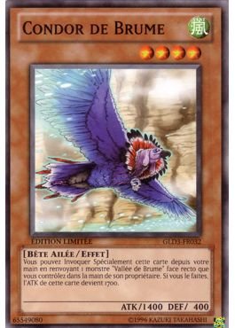 Condor de Brume