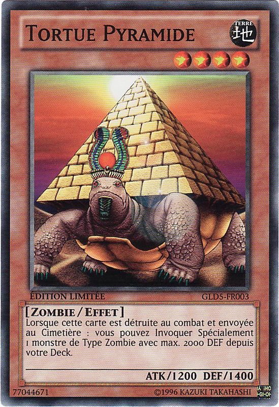 Tortue Pyramide