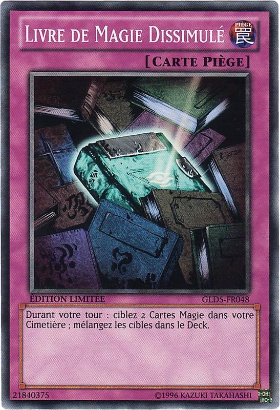 Livre de Magie Dissimulé