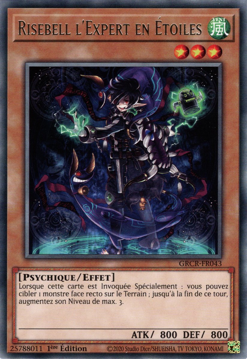 Risebell L'expert En Étoiles