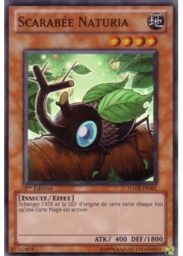 Scarabée Naturia