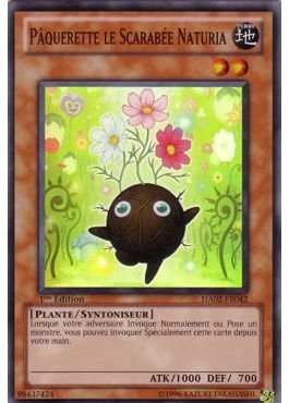 Pâquerette le Scarabée Naturia