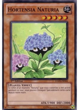 Hortensia Naturia