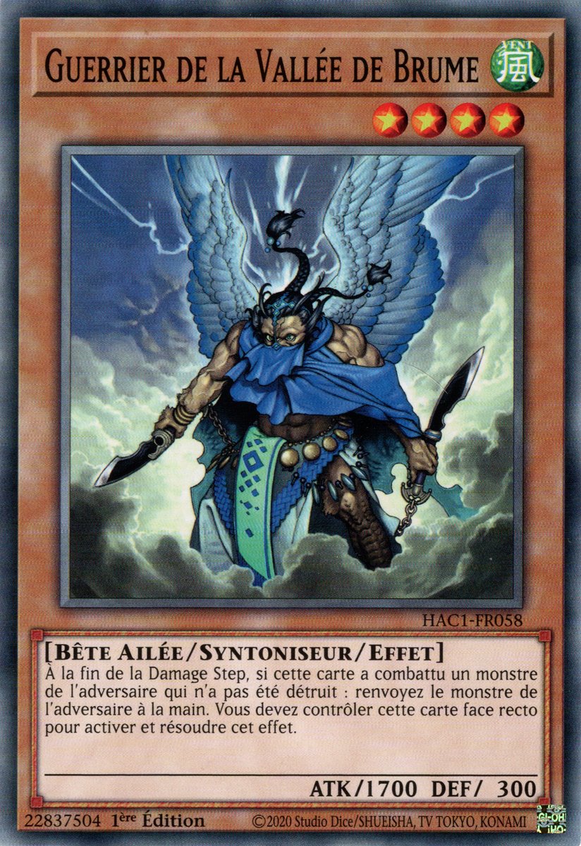 Mist Valley Soldier