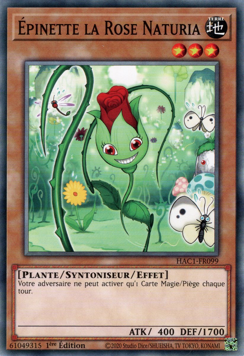 Naturia Rosewhip