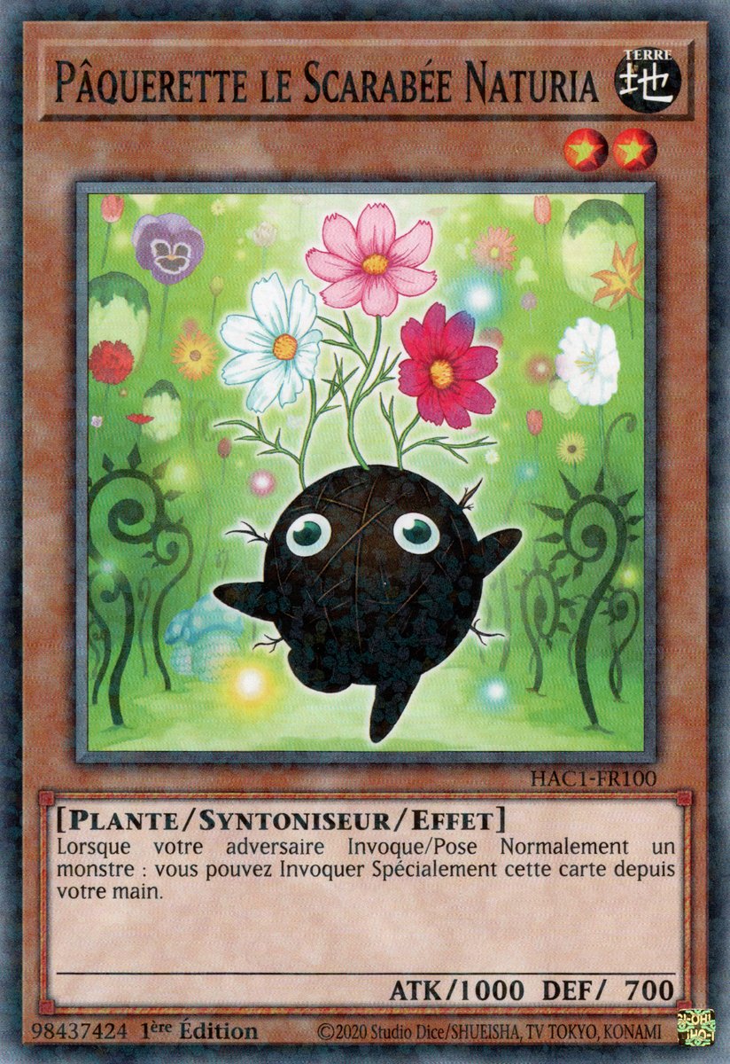 Duel Terminal Normal Parallel Rare