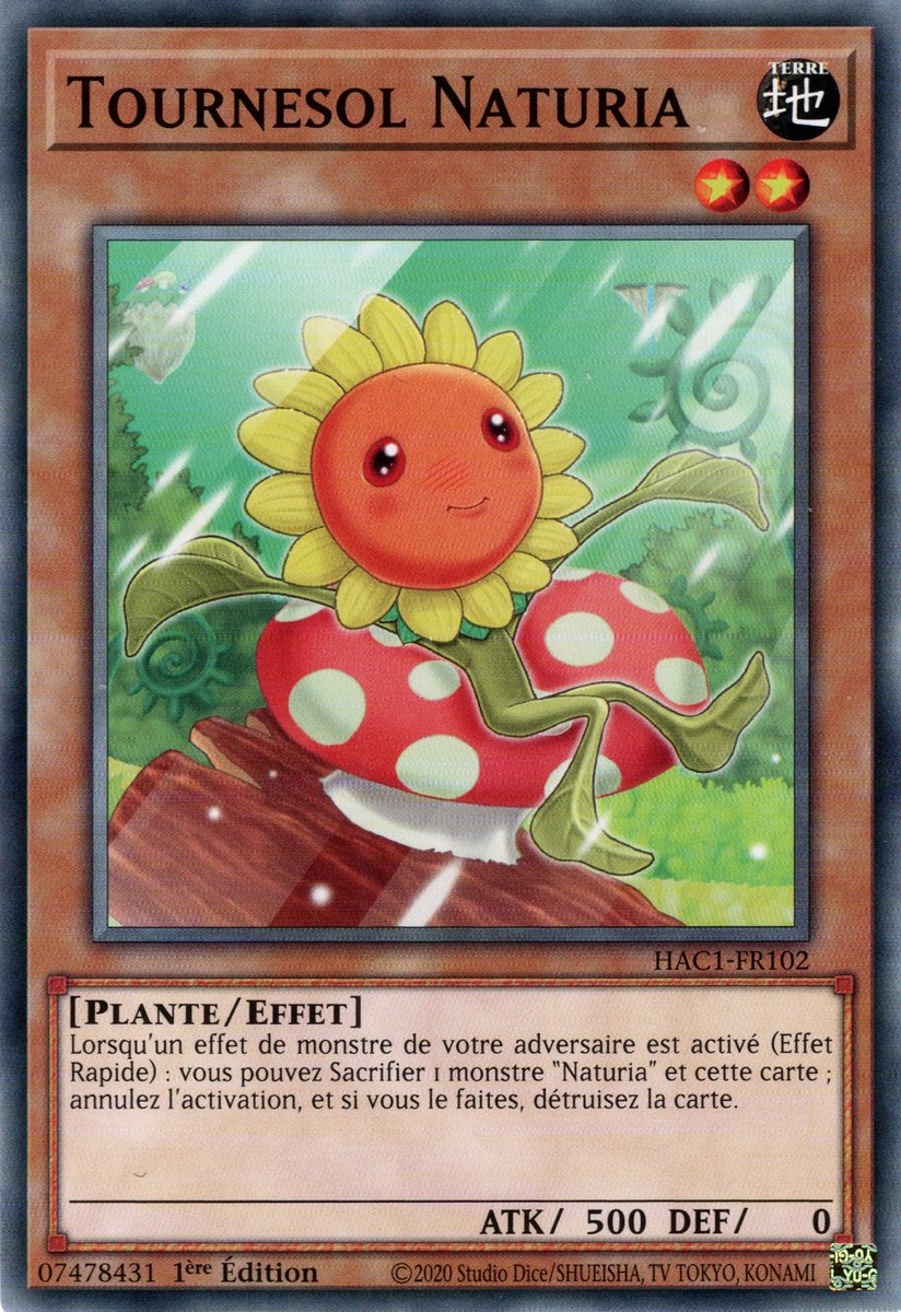 Naturia Sunflower