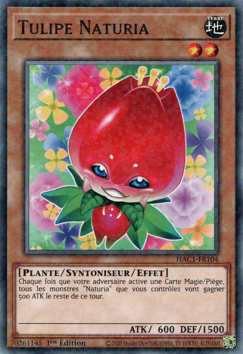 Duel Terminal Normal Parallel Rare