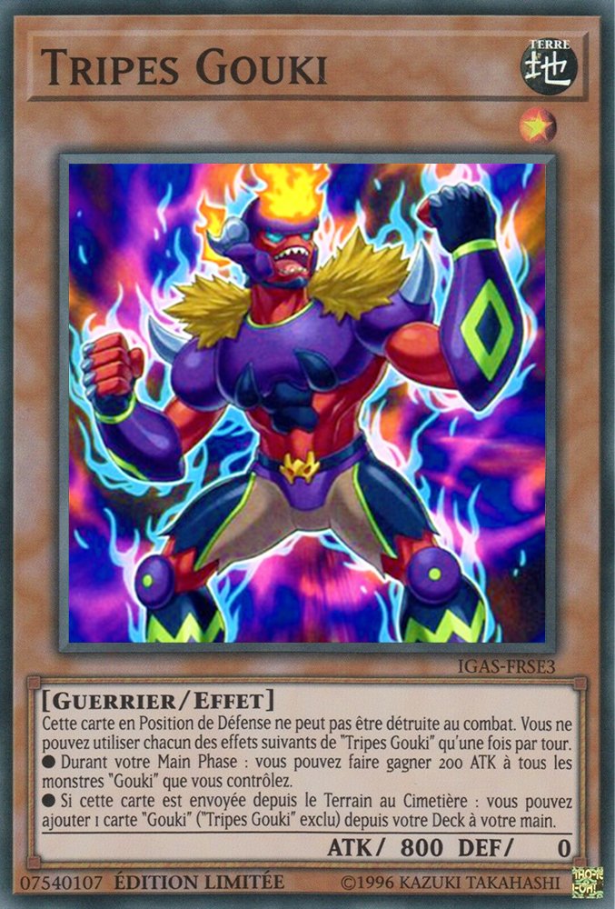 Tripes Gouki
