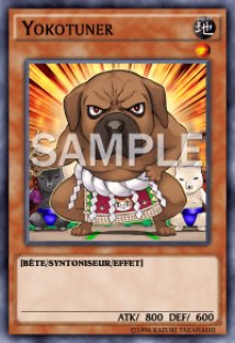 Yokotuner