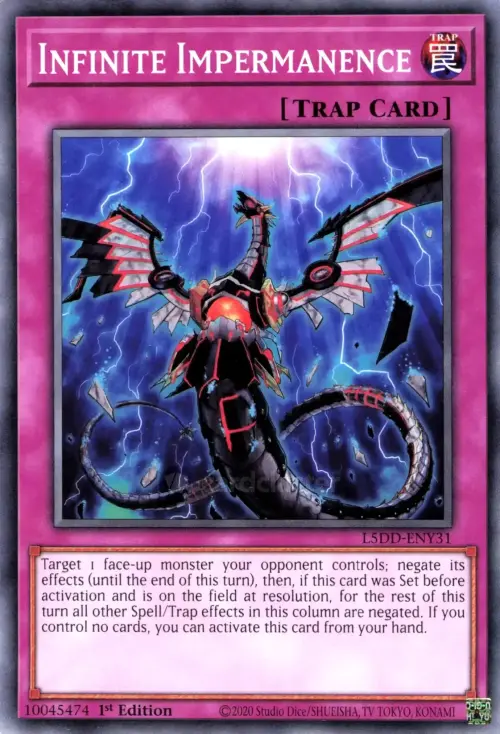 Infinite Impermanence