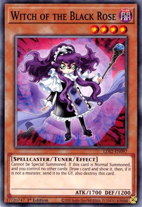 Sorcière de la Rose Noire