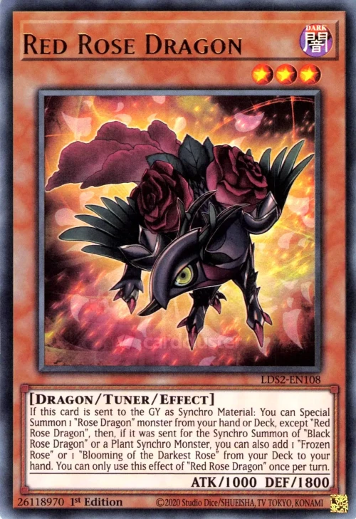 Dragon Rose Rouge