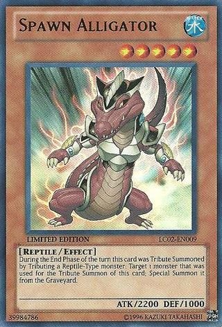 Jeune Alligator