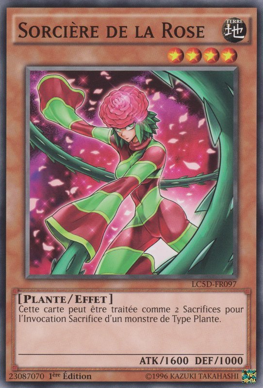 Rose Witch