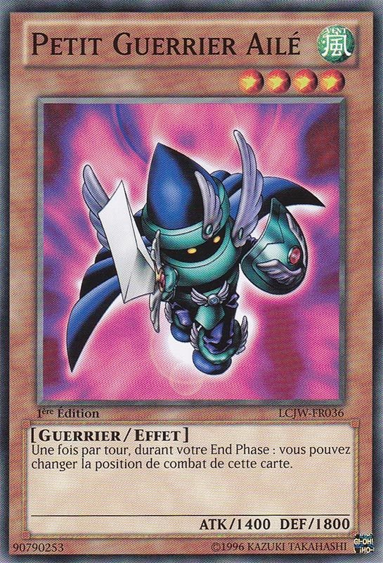Little-Winguard